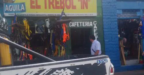 EL TREBOL IN EL TREBOL IN